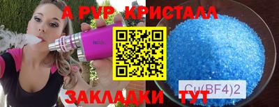СК Будённовск